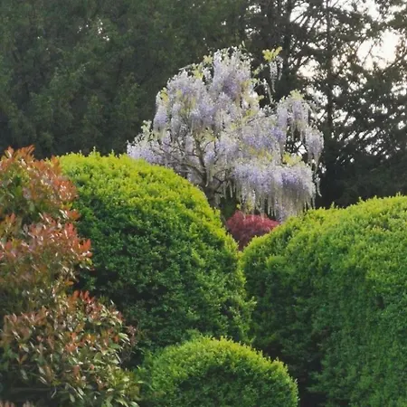 Holiday Home Fuer 8 Personen By Interhome Couvin