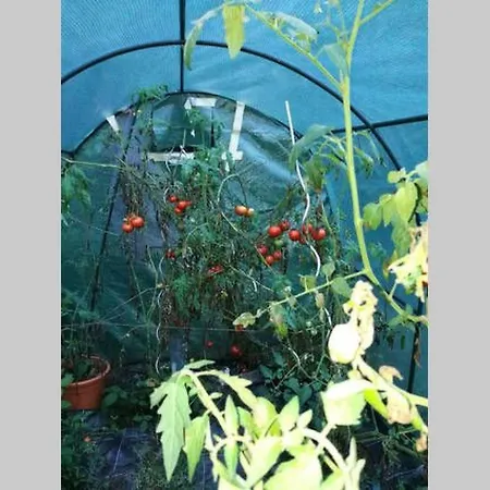 Ferienhaus Holiday Home Fuer 8 Personen By Interhome *