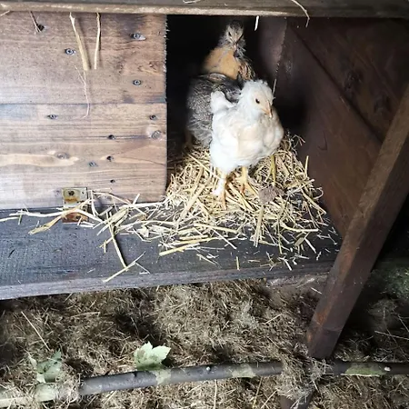 Holiday Home Fuer 8 Personen By Interhome Ferienhaus Couvin