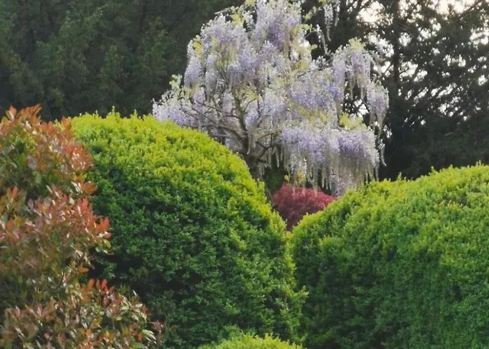 Fuer 8 Personen By Interhome Couvin