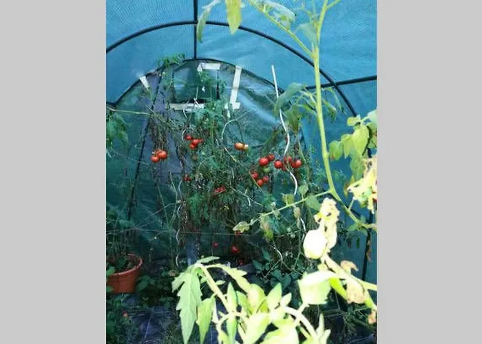 Holiday home Fuer 8 Personen By Interhome *