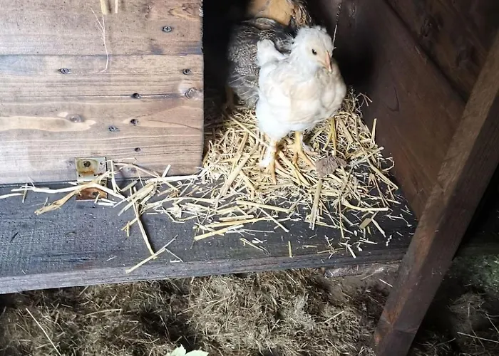 Holiday Home Fuer 8 Personen By Interhome Holiday home Couvin