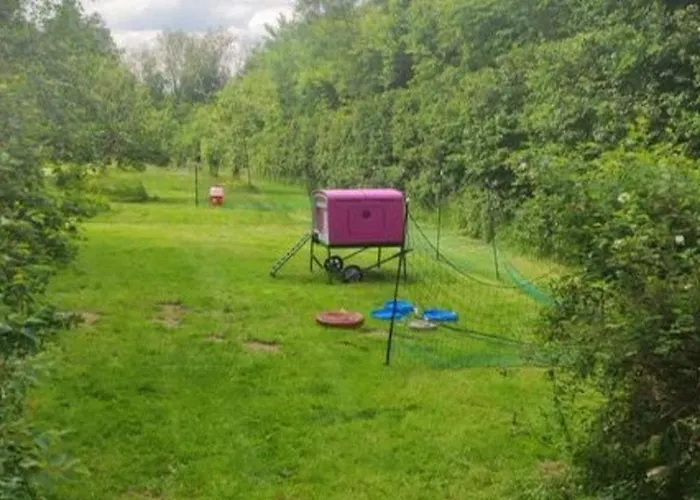 Holiday Home Fuer 8 Personen By Interhome Holiday home *